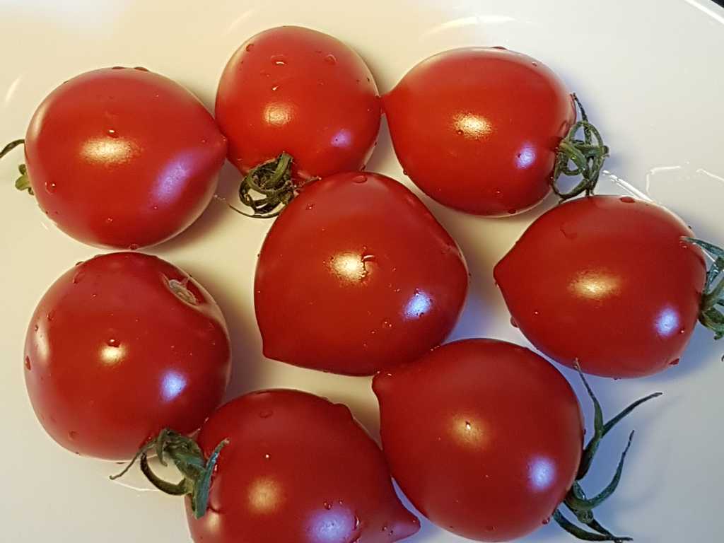 Klubnichka Serdechkom 